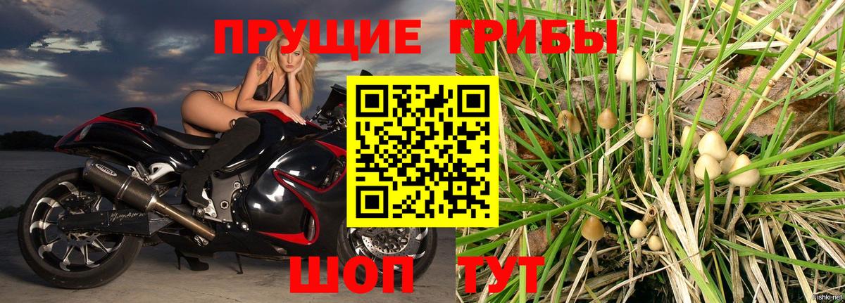 Галлюциногенные грибы ЛСД  Вход с VPN  Ростов Великий 